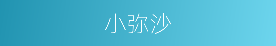 小弥沙的同义词