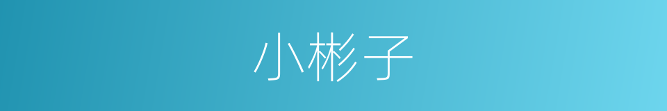 小彬子的同义词