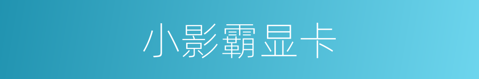 小影霸显卡的同义词