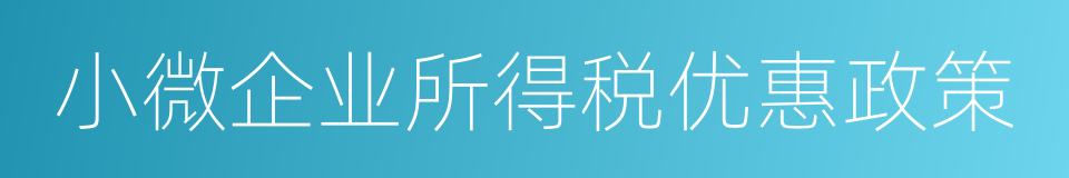 小微企业所得税优惠政策的同义词