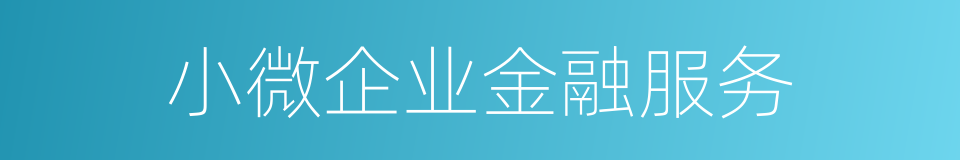 小微企业金融服务的同义词