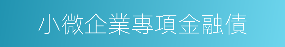 小微企業專項金融債的同義詞