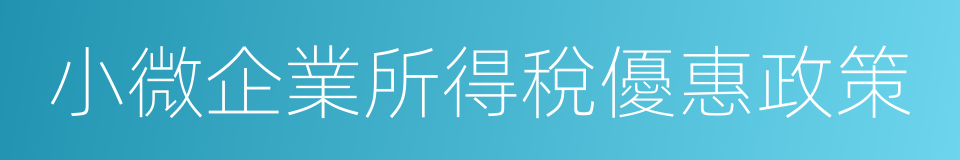 小微企業所得稅優惠政策的同義詞