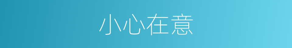 小心在意的意思
