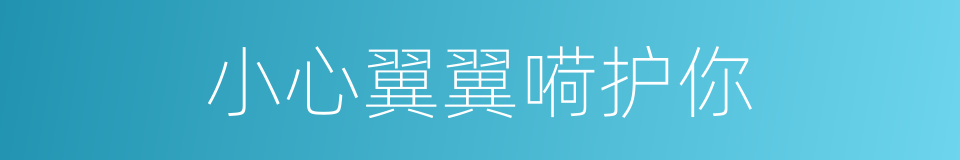 小心翼翼嗬护你的同義詞