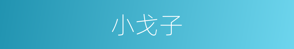 小戈子的同义词