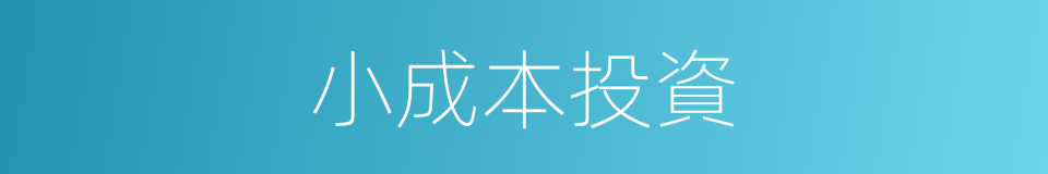 小成本投資的同義詞