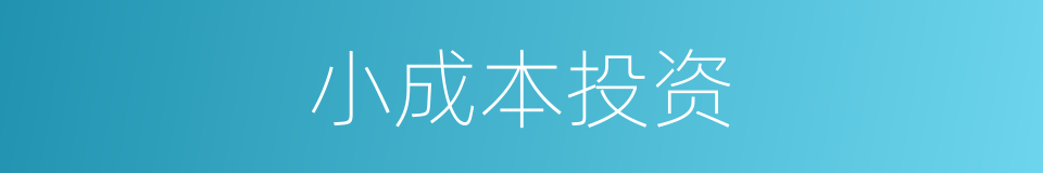 小成本投资的同义词