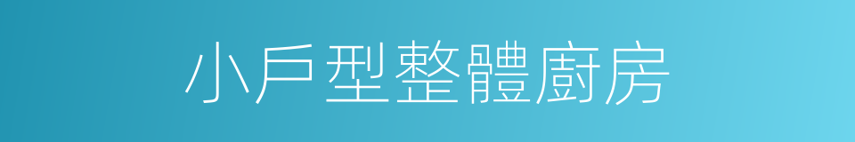 小戶型整體廚房的同義詞