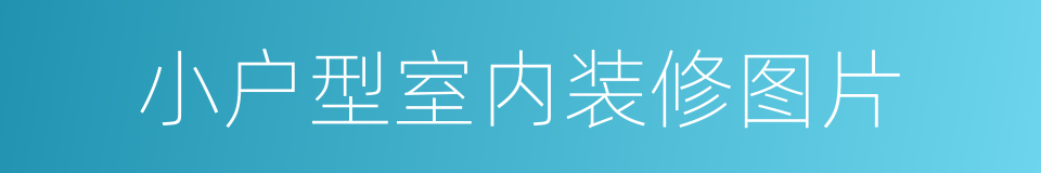 小户型室内装修图片的同义词