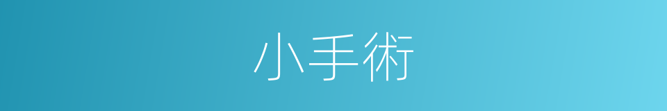 小手術的同義詞