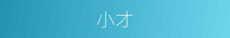 小才的意思