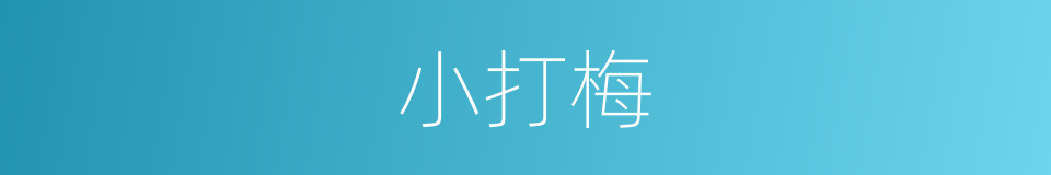 小打梅的同义词