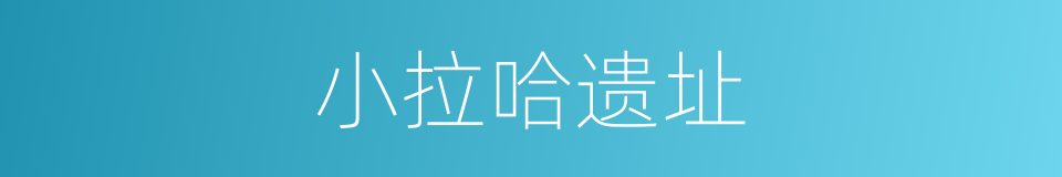 小拉哈遗址的同义词