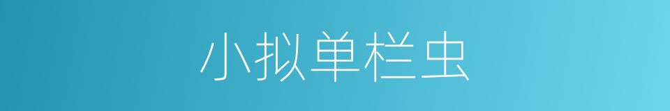 小拟单栏虫的同义词