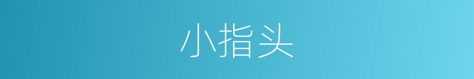 小指头的意思