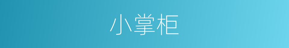 小掌柜的同义词
