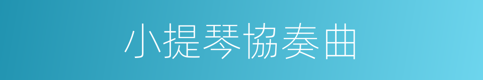 小提琴協奏曲的同義詞