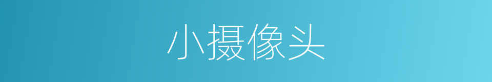 小摄像头的同义词