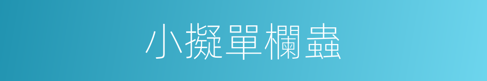 小擬單欄蟲的同義詞