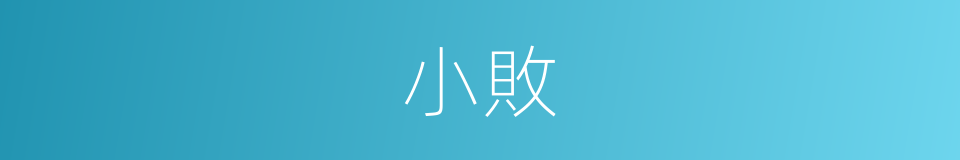小敗的意思