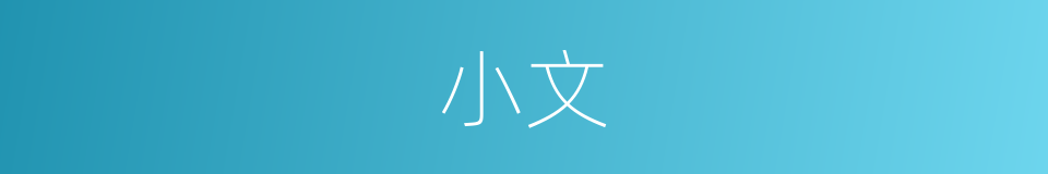 小文的意思
