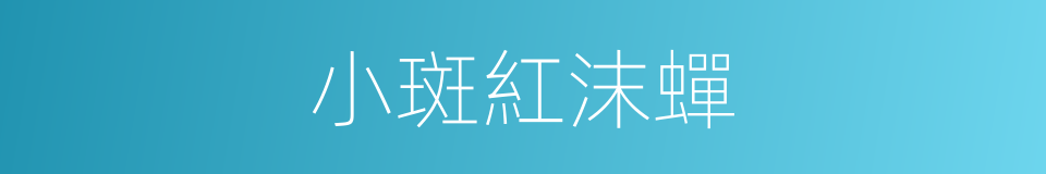 小斑紅沫蟬的同義詞