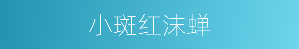 小斑红沫蝉的同义词