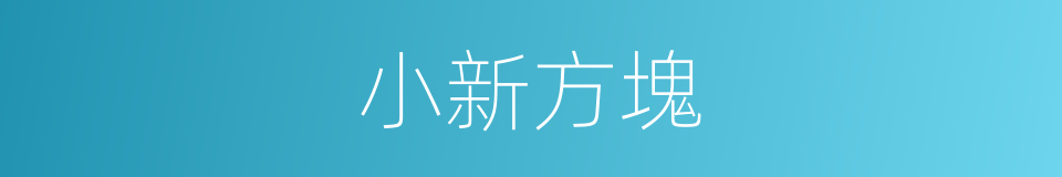 小新方塊的同義詞