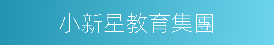 小新星教育集團的同義詞