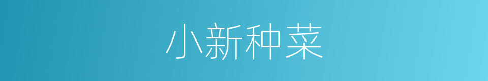 小新种菜的同义词