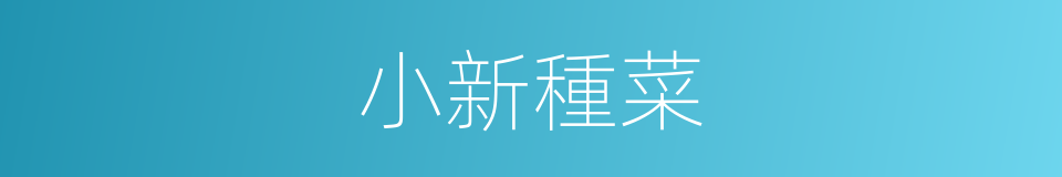 小新種菜的同義詞