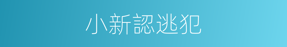 小新認逃犯的同義詞