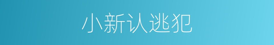 小新认逃犯的同义词