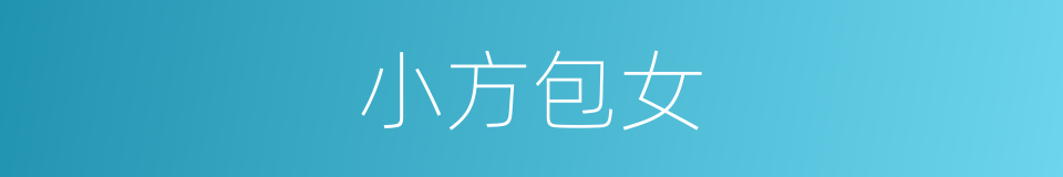小方包女的同义词