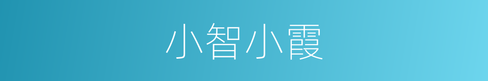 小智小霞的同义词