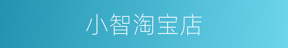 小智淘宝店的同义词
