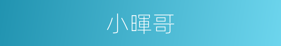 小暉哥的同義詞