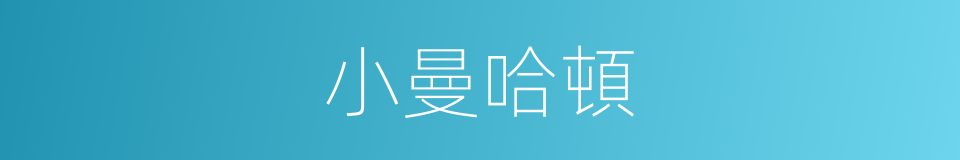 小曼哈頓的同義詞