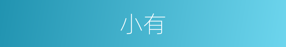 小有的意思