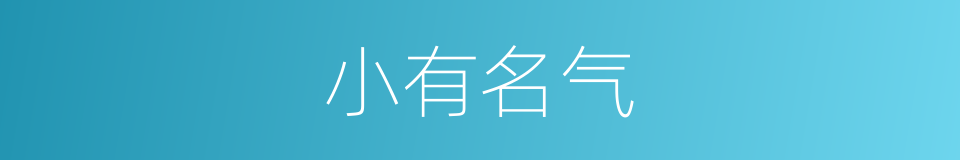 小有名气的意思