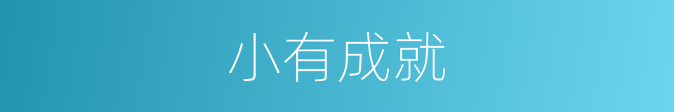 小有成就的同义词