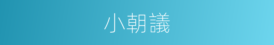 小朝議的同義詞