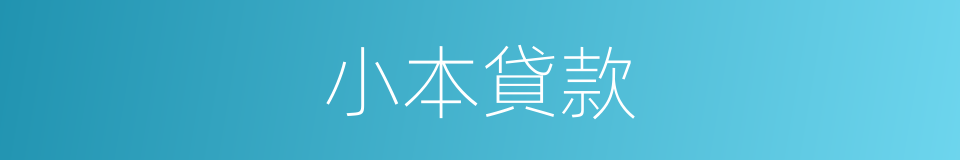 小本貸款的同義詞