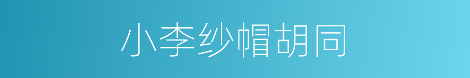 小李纱帽胡同的同义词