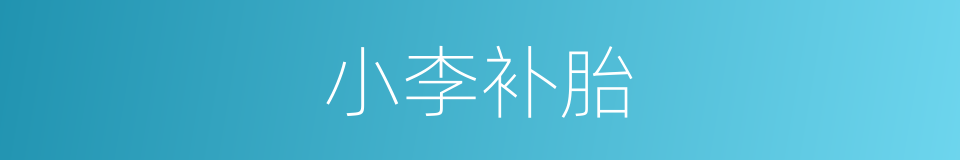 小李补胎的同义词