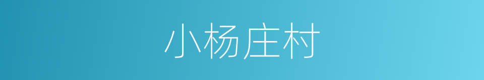 小杨庄村的同义词