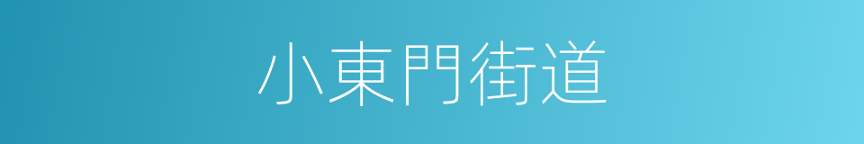 小東門街道的同義詞