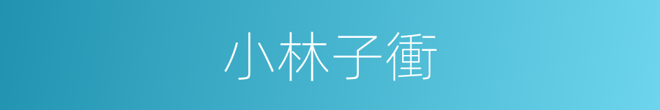 小林子衝的同義詞
