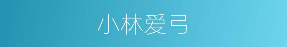 小林爱弓的同义词